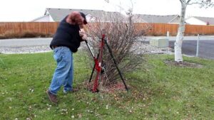 lawn sticker remover