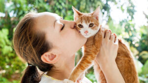Run by Cat Lovers, for Cat Lovers