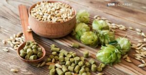 Hops Market