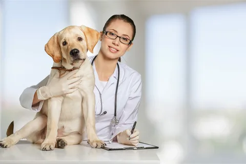 Cardiologist