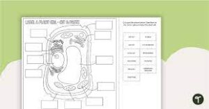 label animal and plant cell worksheet