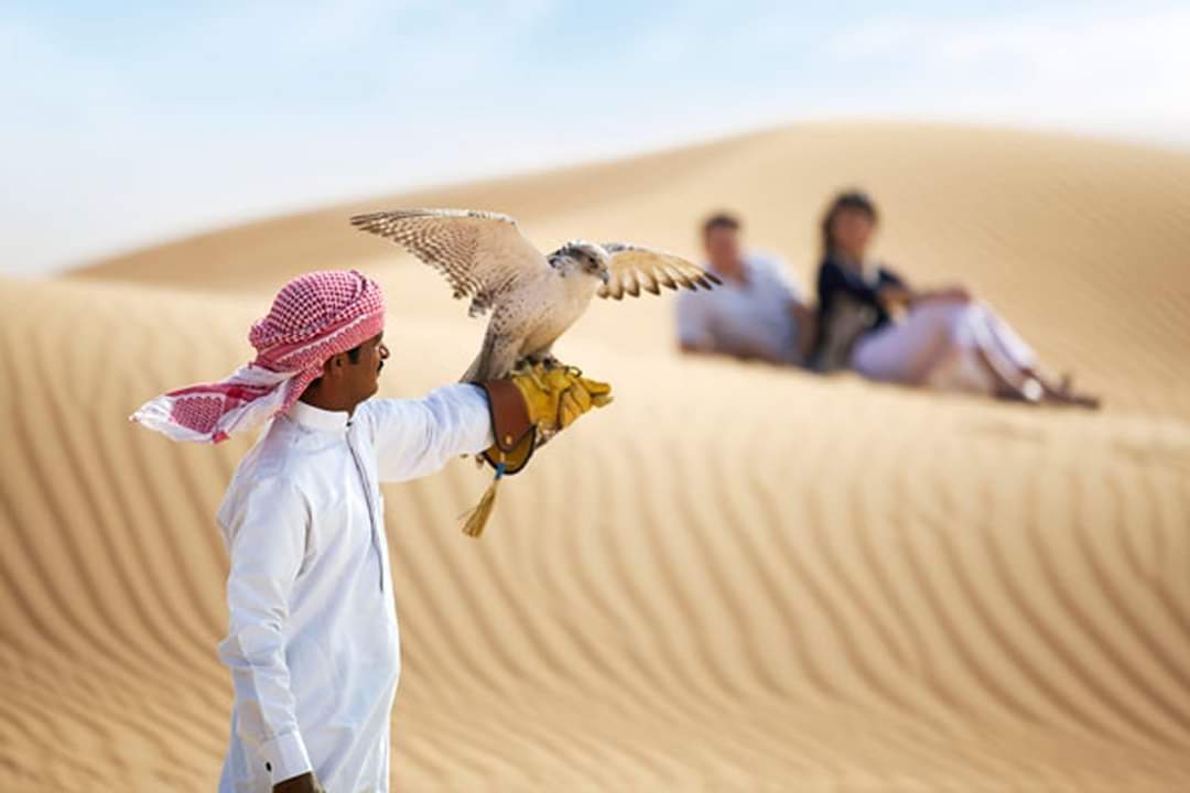 premium red dunes safari