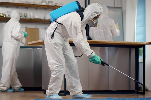 Pest Control