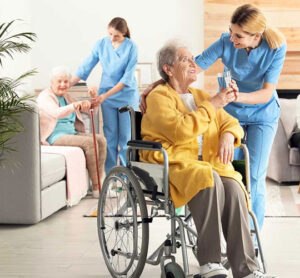 ndis-provider-