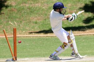 Wheon Cricket 07