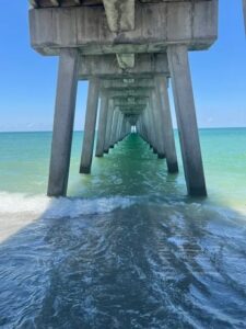 paddle board rental venice