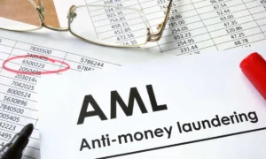 Anti Money Laundering Consultants