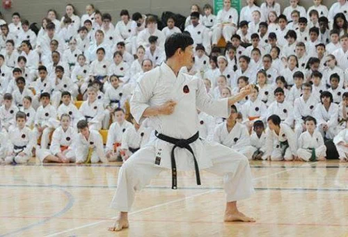 Martial Arts Classes in Dubai