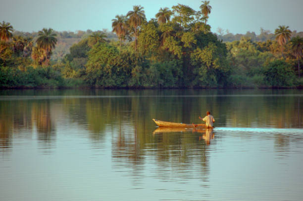 Exploring Gambia’s River Life